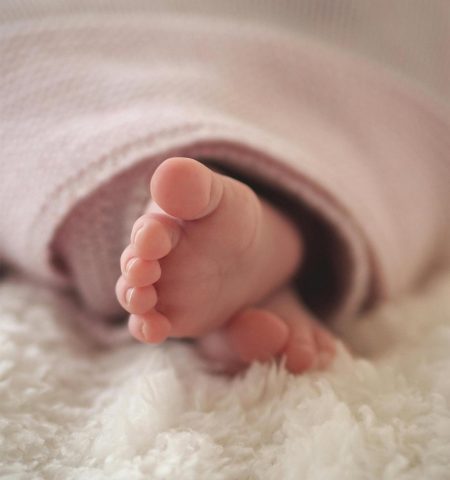 pexels-pixabay-326545